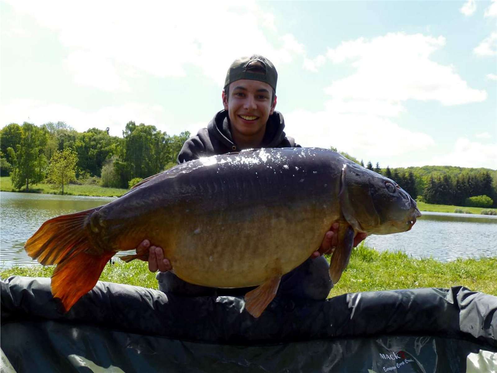 carpe 17.5 kg - etangs